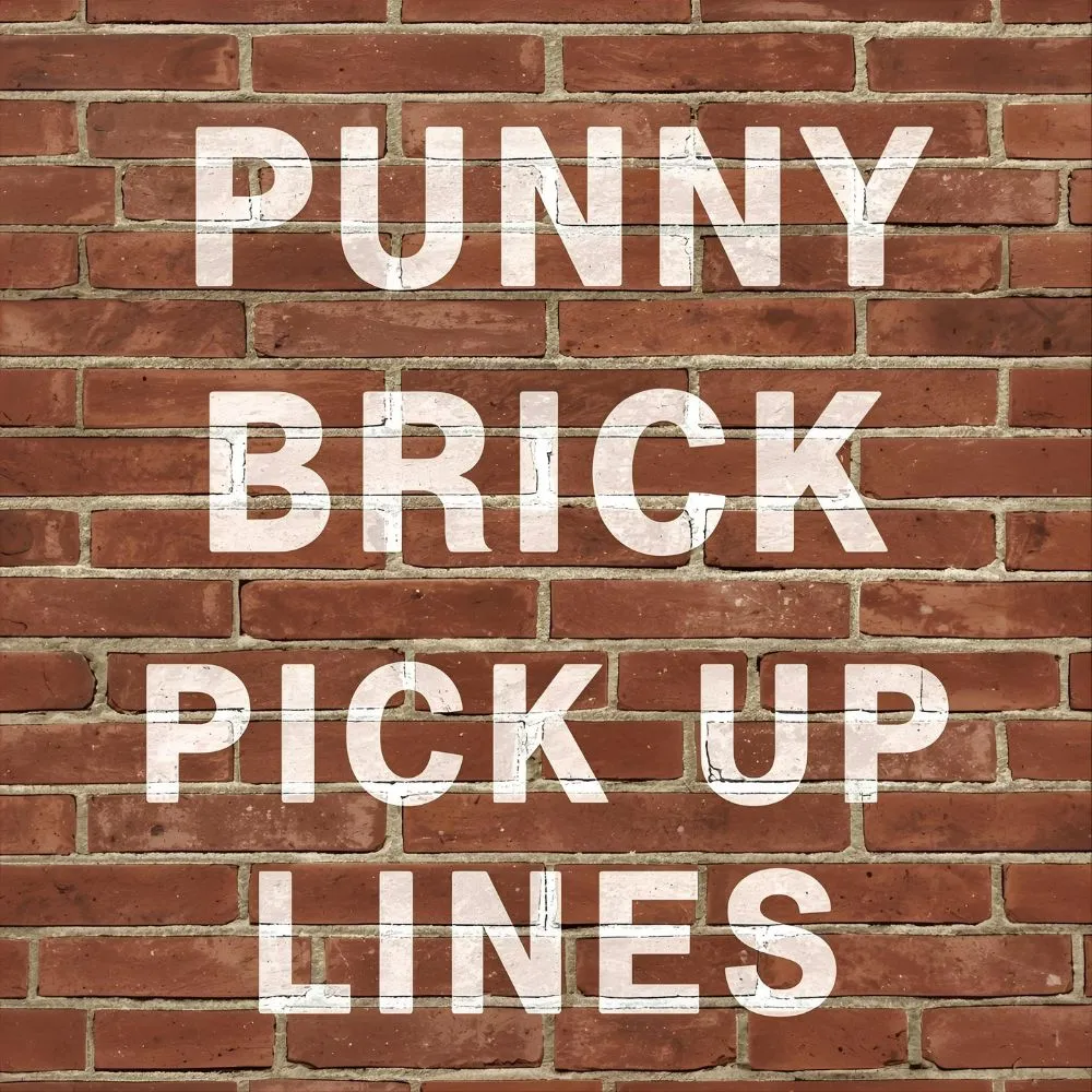 Punny Brick Pick Up Lines