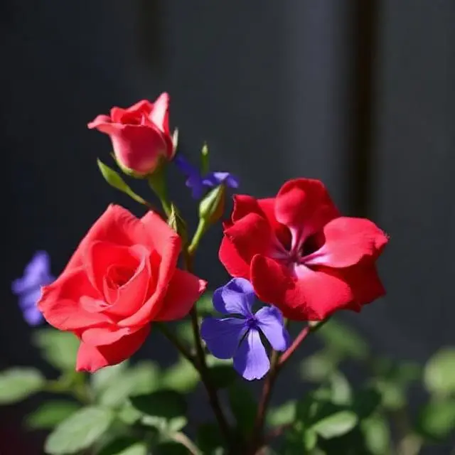 Short and Snappy Roses Are Red Violets Are Blue Lines