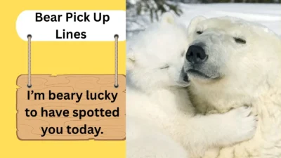 Bear Pick Up Lines