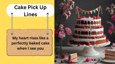 Cake Pick Up Lines