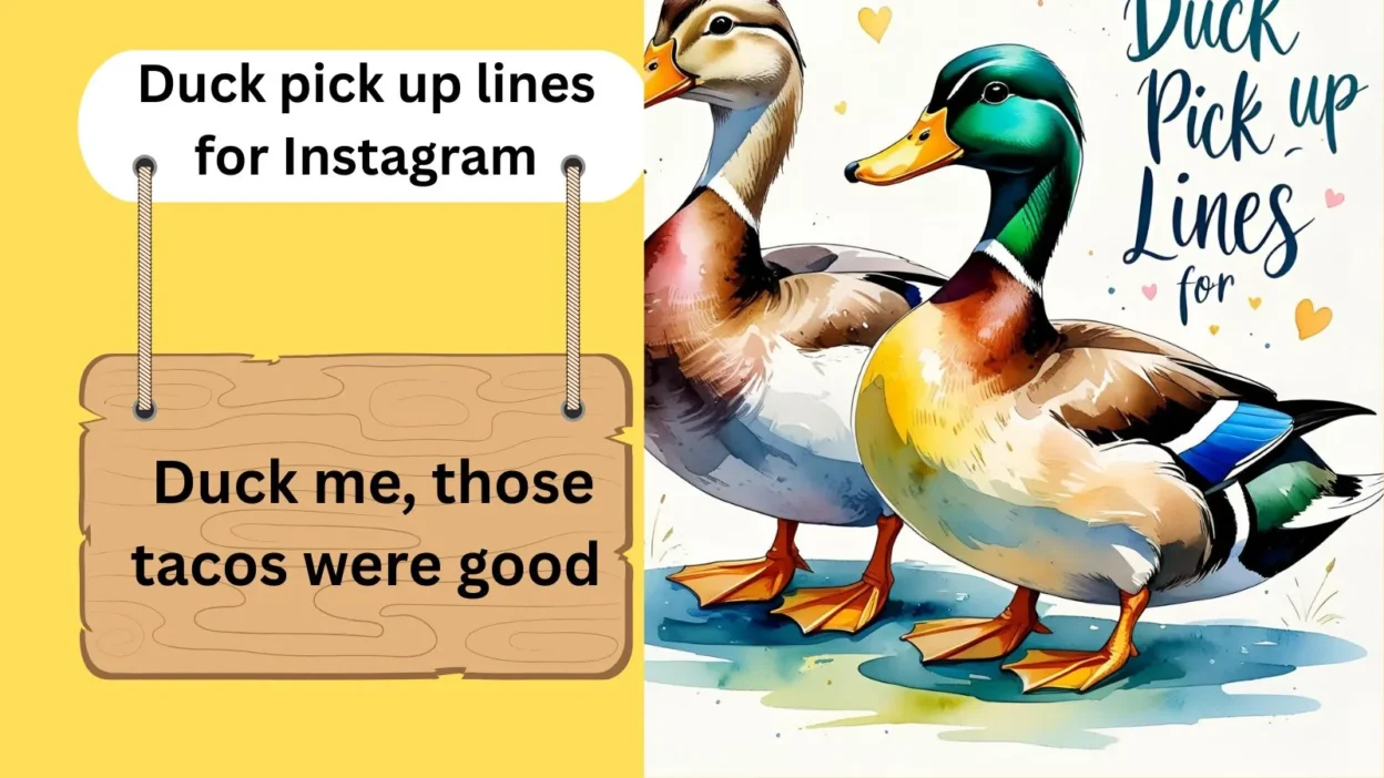 Duck pick up lines for Instagram