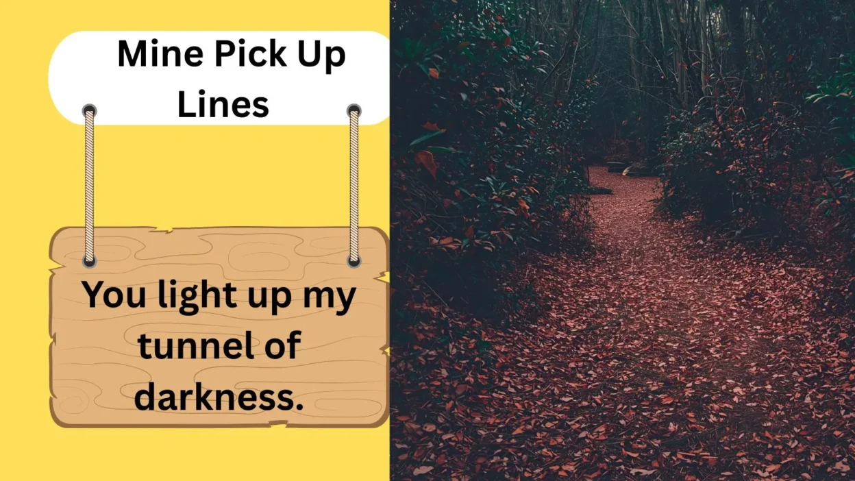 Mine Pick Up Lines