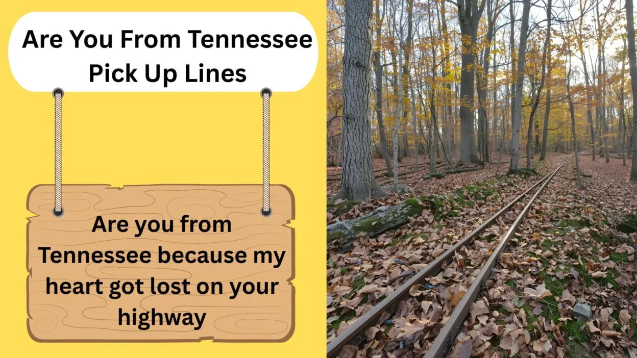 Are You From Tennessee Pick Up Lines