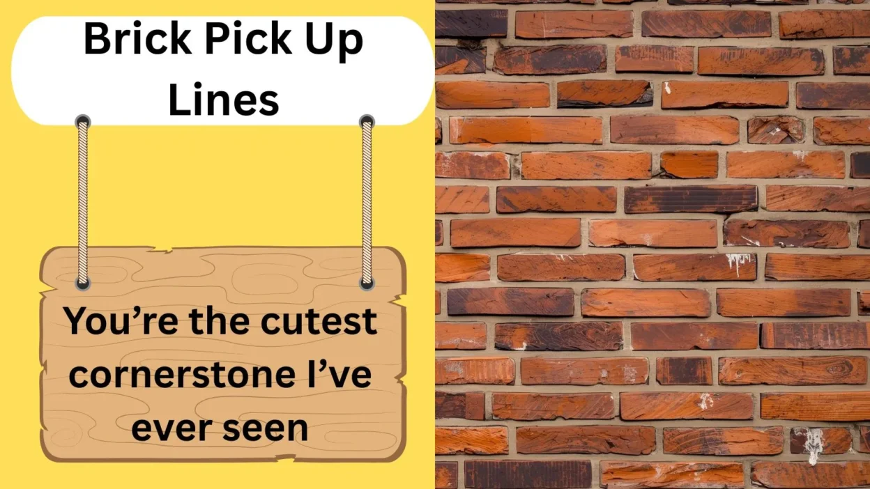 Brick Pick Up Lines