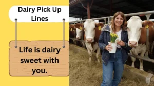 Dairy Pick Up Lines