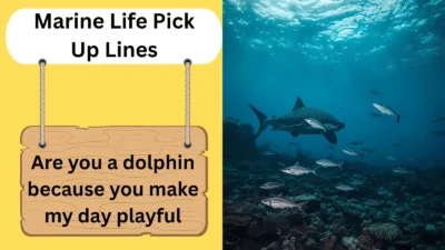 Marine Life Pick Up Lines