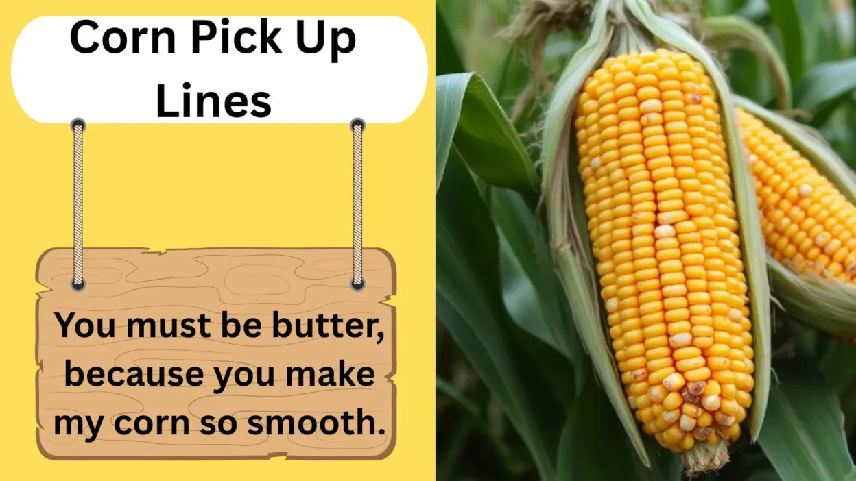 Corn Pick Up Lines