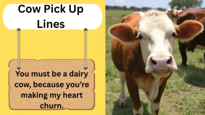 Cow Pick Up Lines