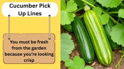 Cucumber Pick Up Lines