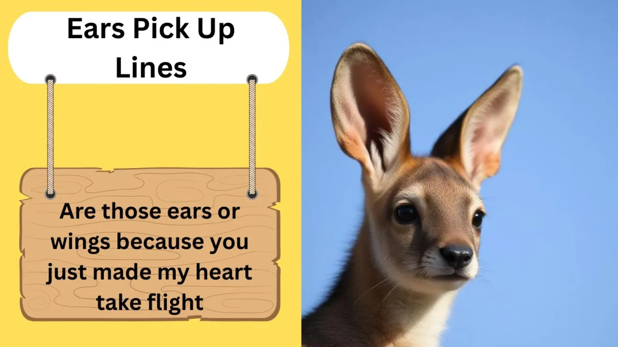 Ears Pick Up Lines