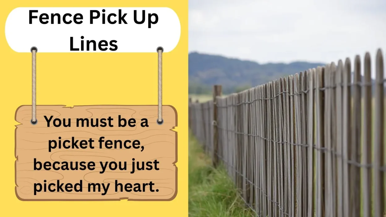 Fence Pick Up Lines