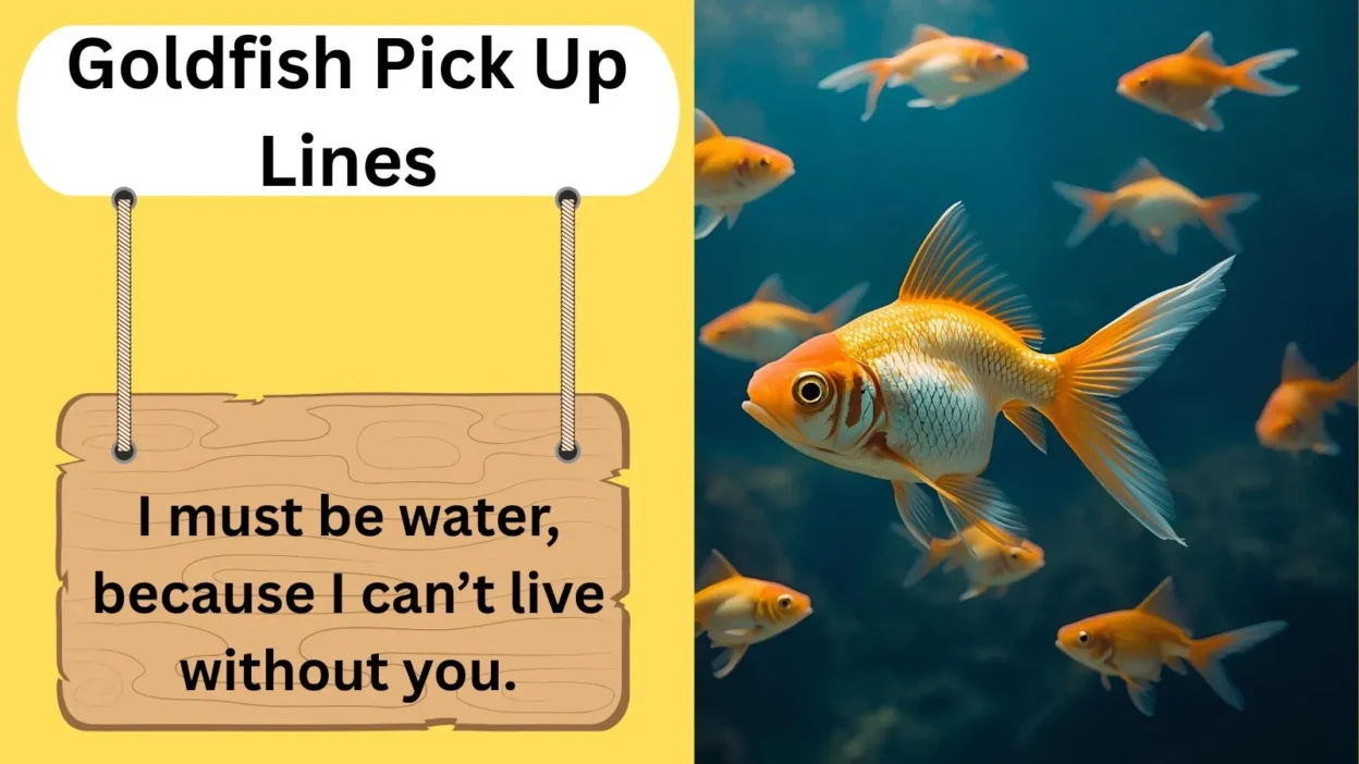 Goldfish Pick Up Lines