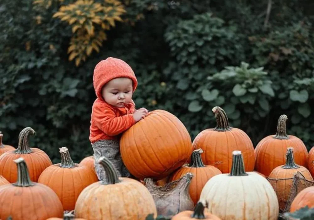 Pumpkin Pick Up Lines