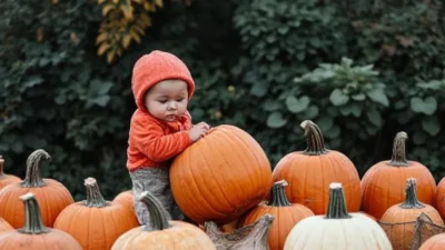 Pumpkin Pick Up Lines