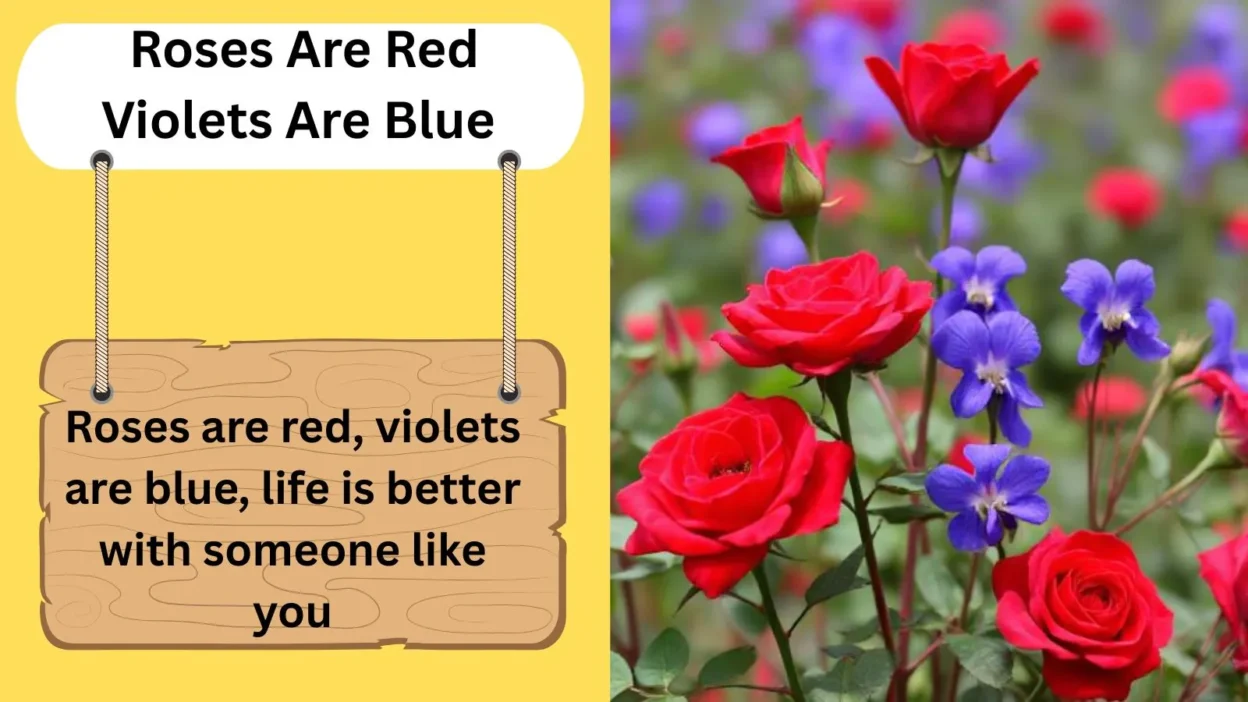 Roses Are Red Violets Are Blue Pick Up Lines