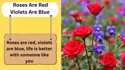 Roses Are Red Violets Are Blue Pick Up Lines