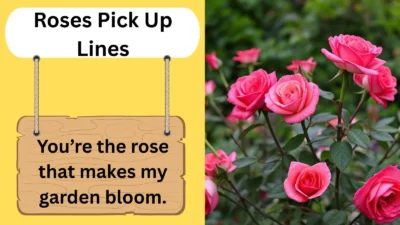 Roses Pick Up Lines