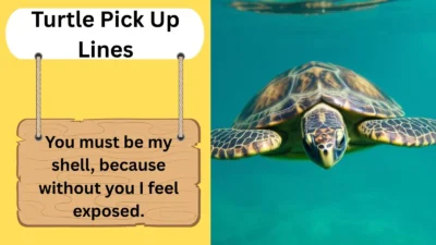 Turtle Pick Up Lines